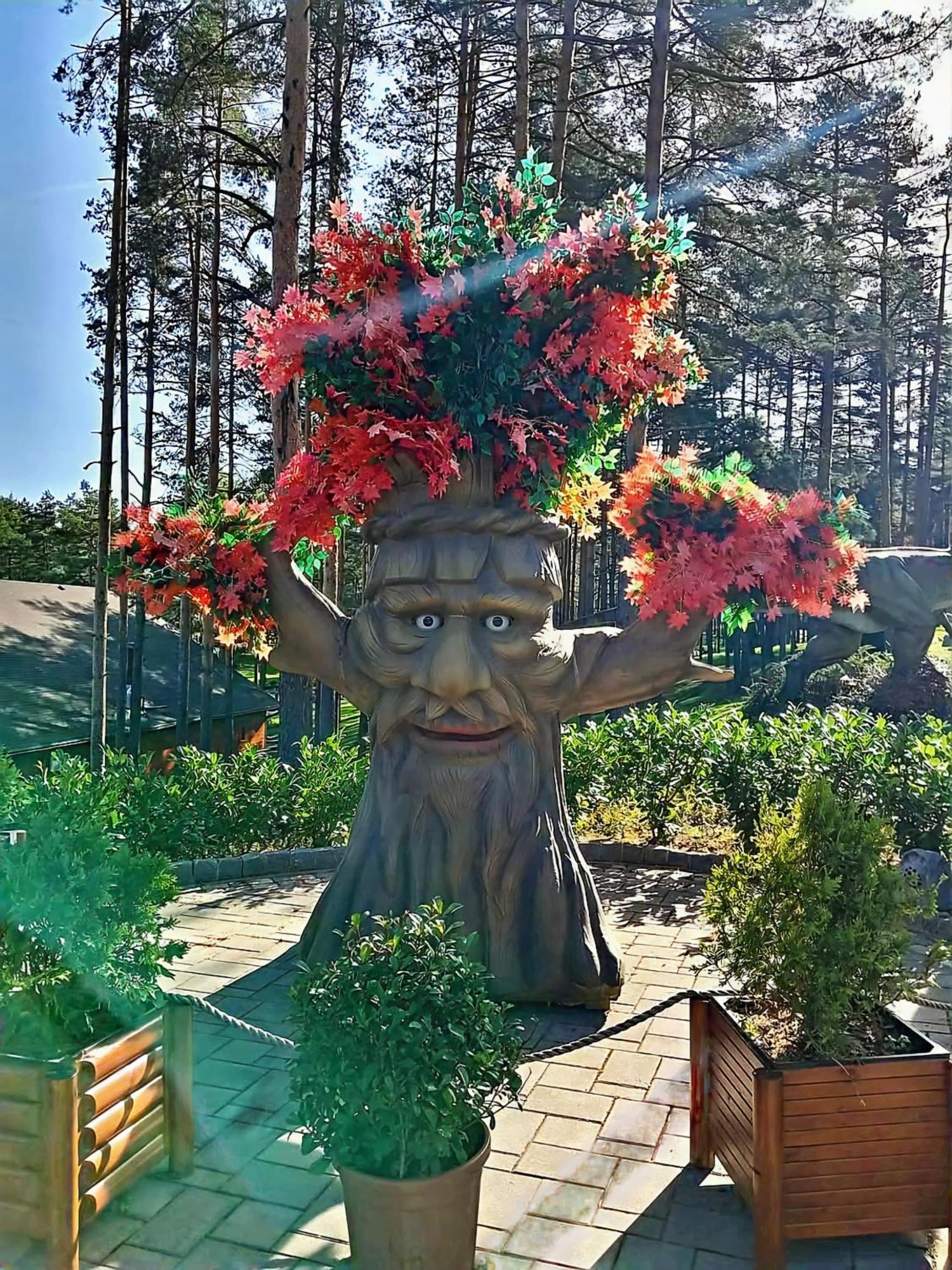 Silver Star Zlatibor Exterior photo