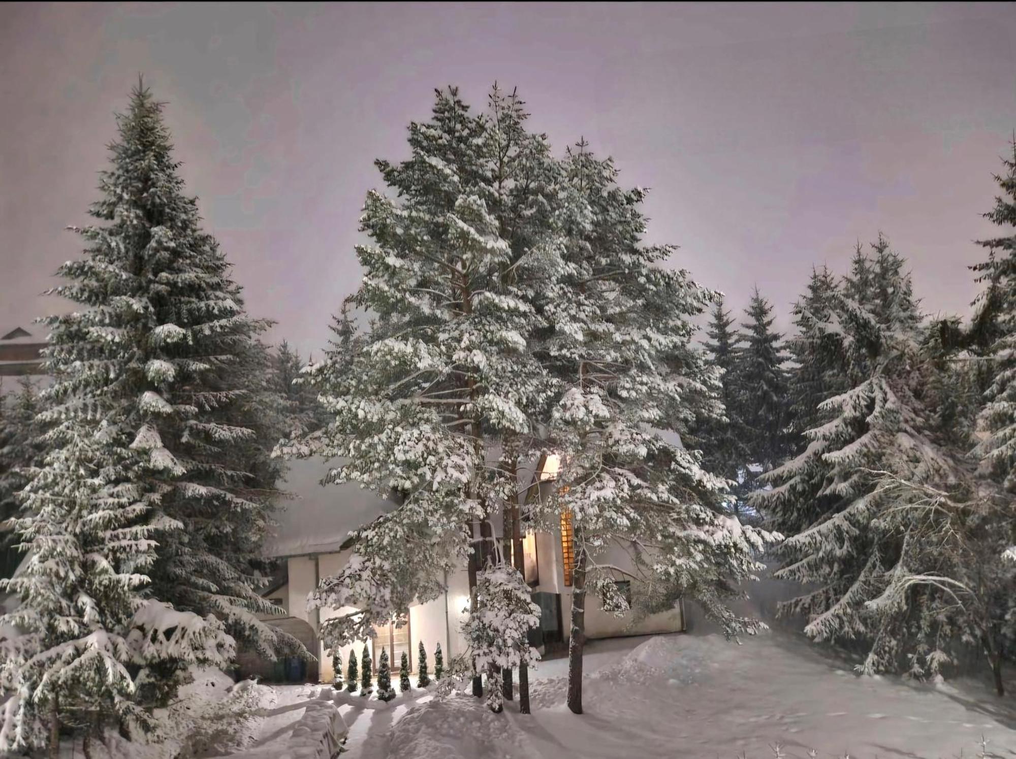 Silver Star Zlatibor Exterior photo